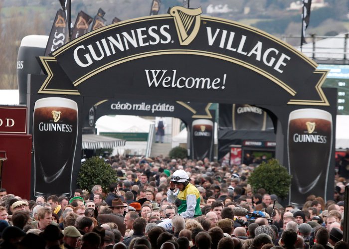 cheltenham festival guide cheltenham festival guide